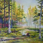 Закат в сосновом лесу