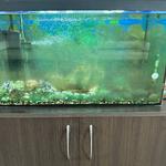 Обслуговування акваріума 