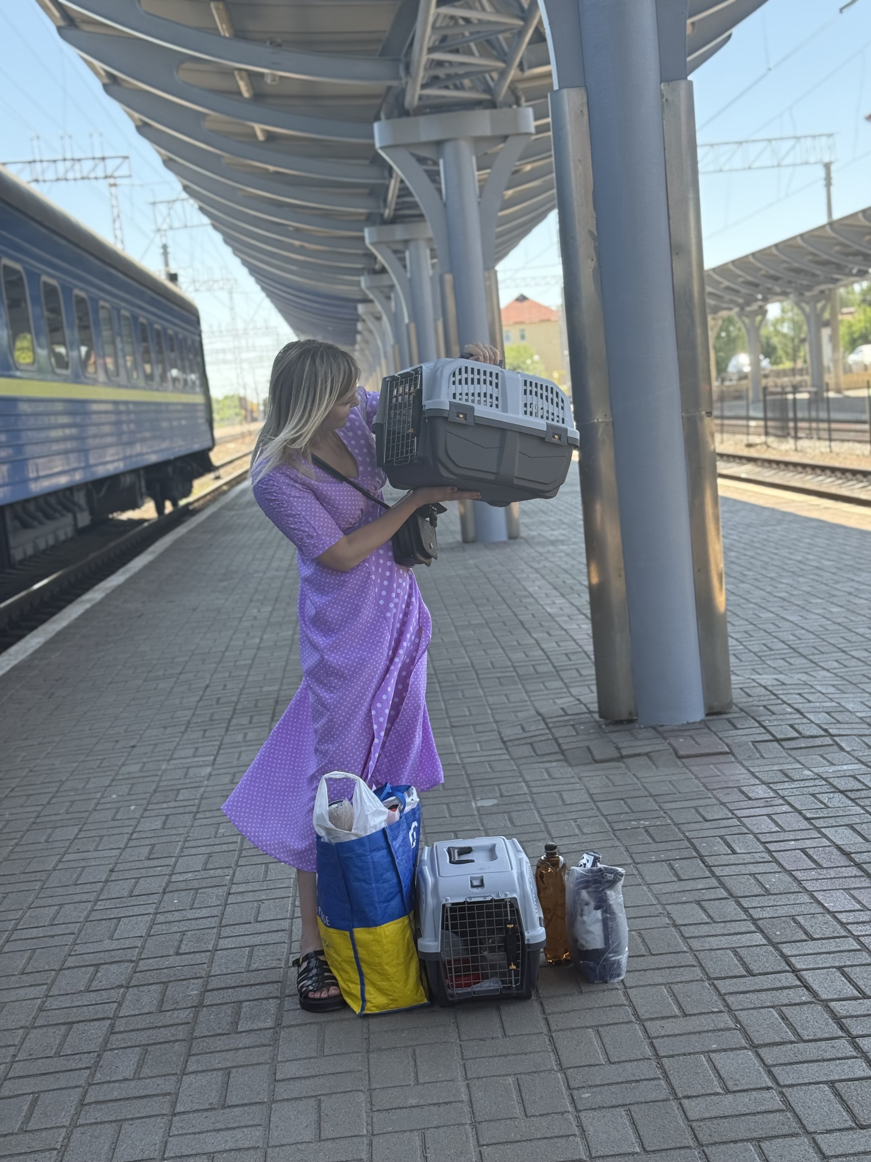 Фото Перевезення тварин. Онлайн консультація  2