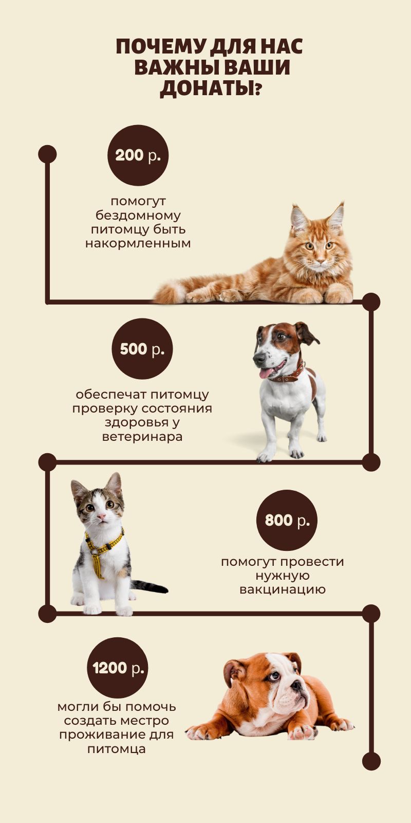 Фото Створення інфографіки 1