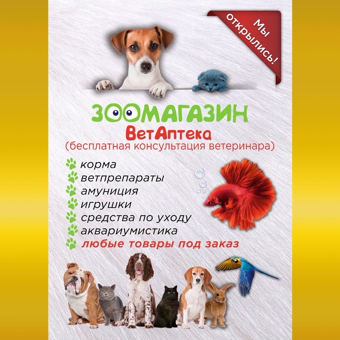 Фото Листовка для зоомагазина, лицо