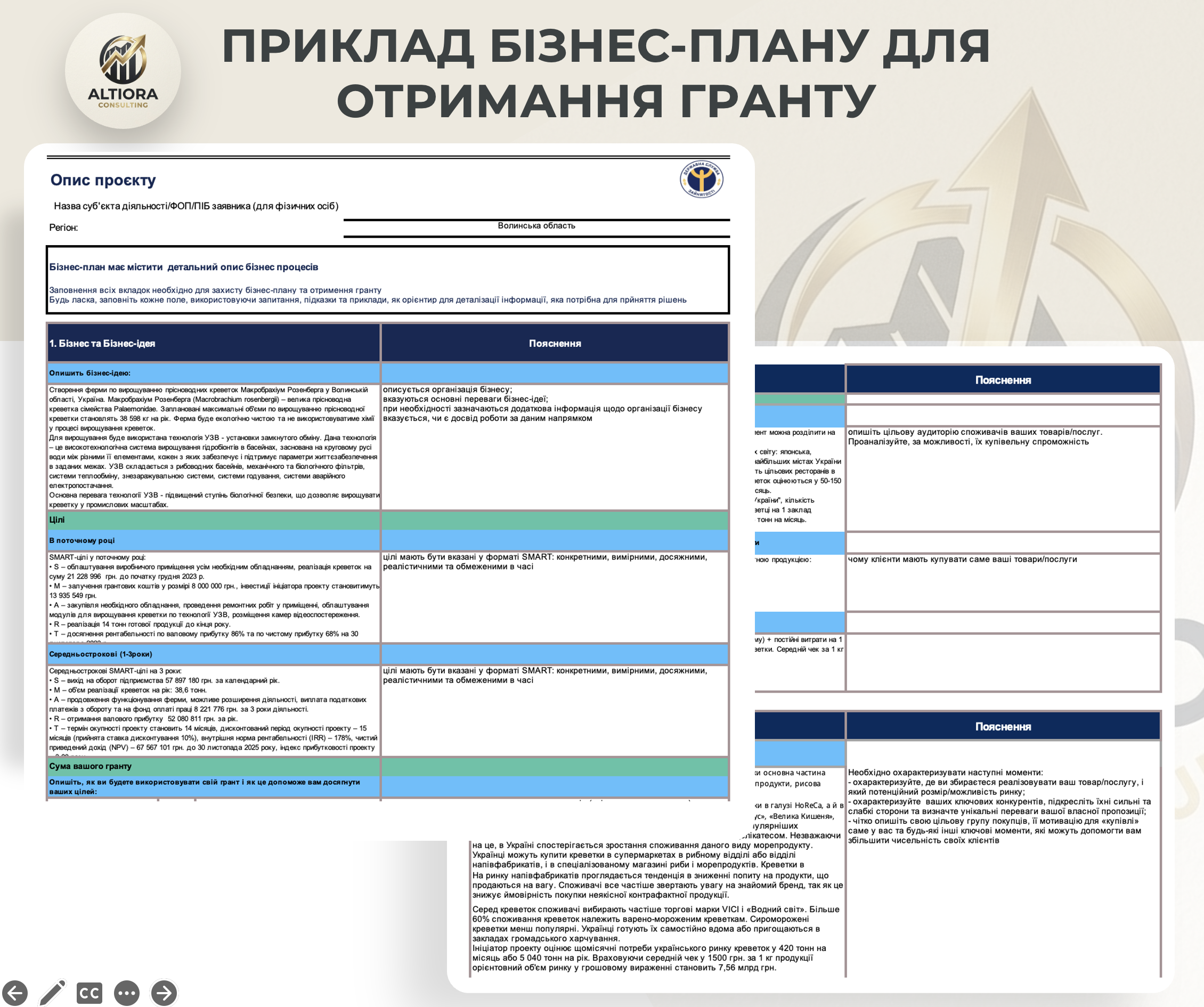 Фото Розробка бізнес-плану для отримання гранту 2