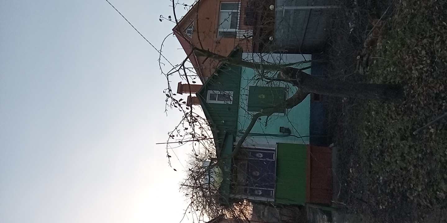 Фото Обрізка плодових дерев 2