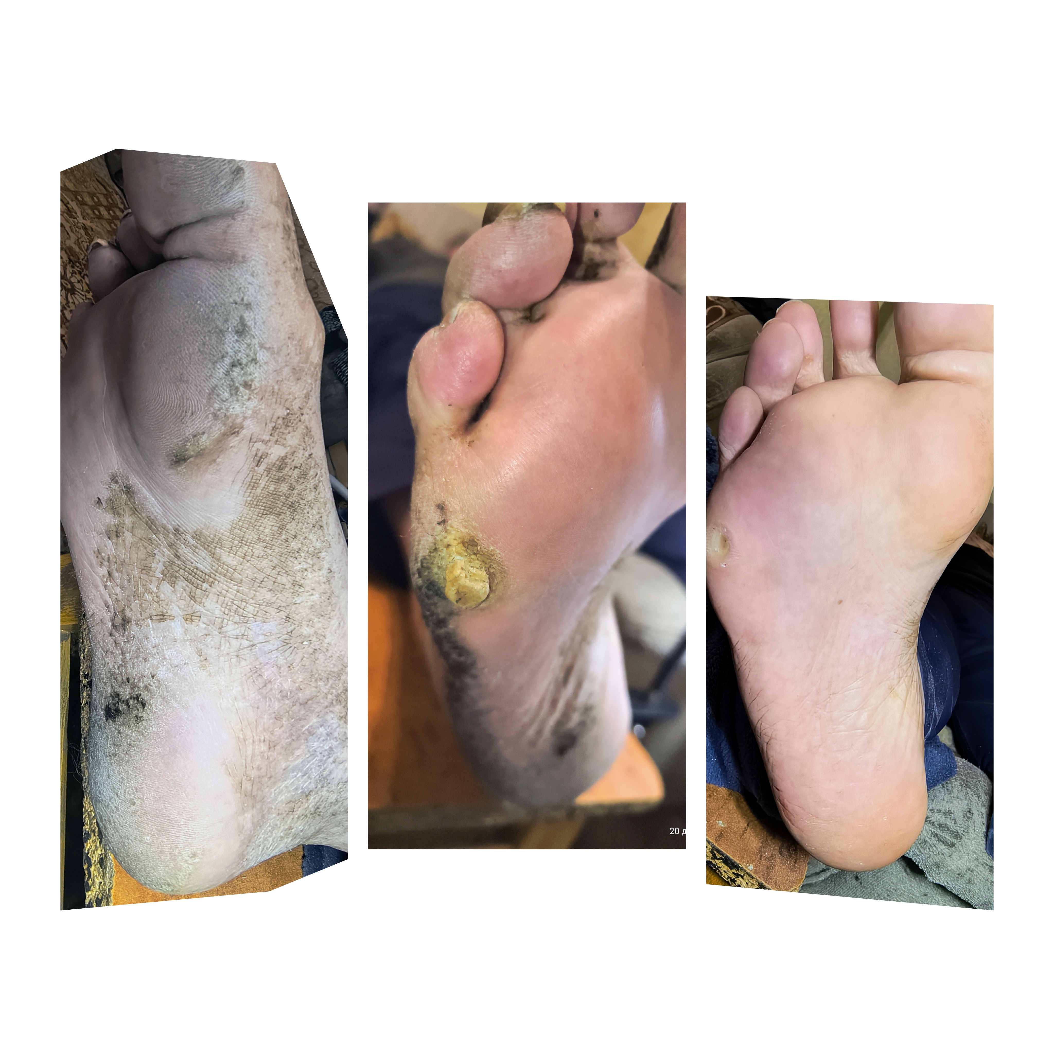 Фото Подолог