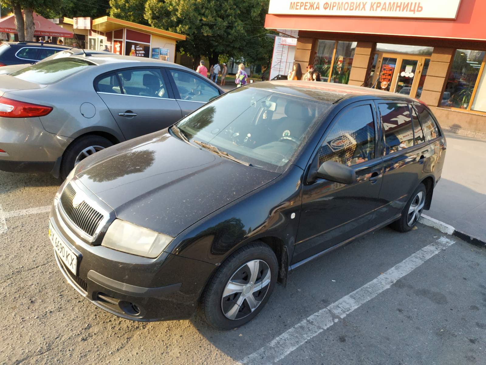 Фото Водитель со своим авто Шкода Фабия (универсал) 1
