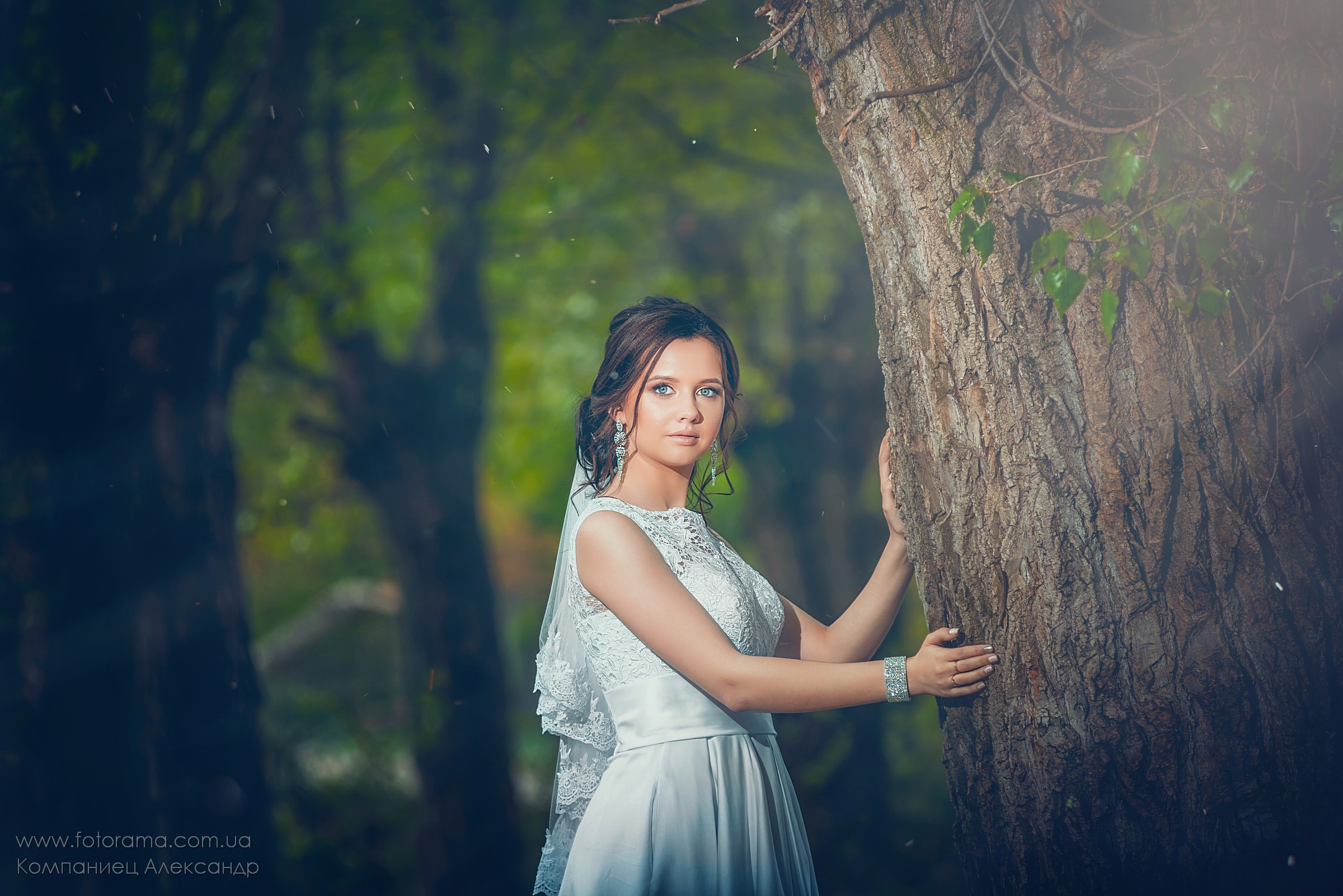 Фото Wedding