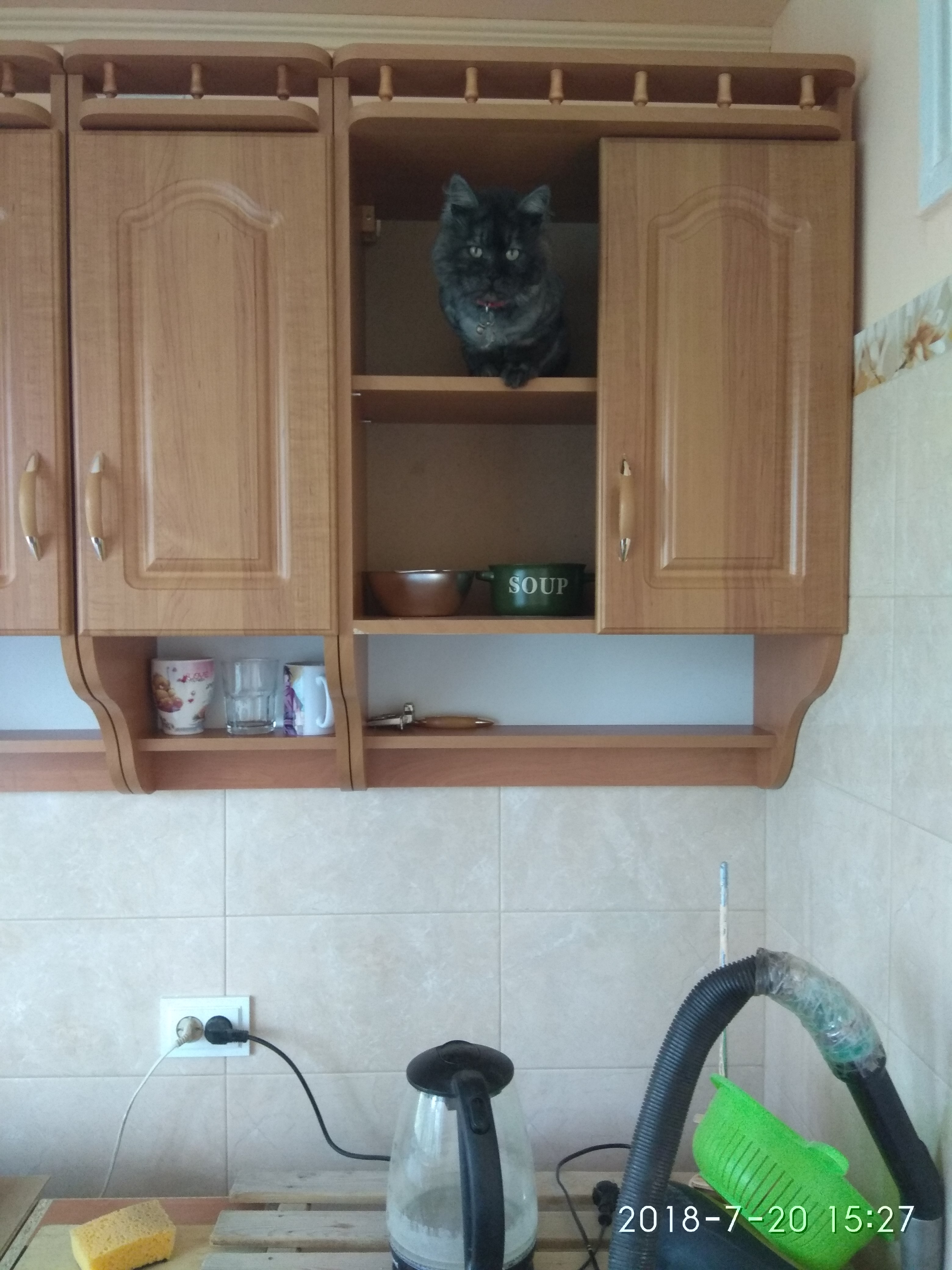 Фото Сборка и установка/навешивание модульной кухни "Корона".
Время на работу: три дня на весь комплект гарнитура (4 верхних шкафа и 3 нижних).
Не без помощи мохнатого друга)