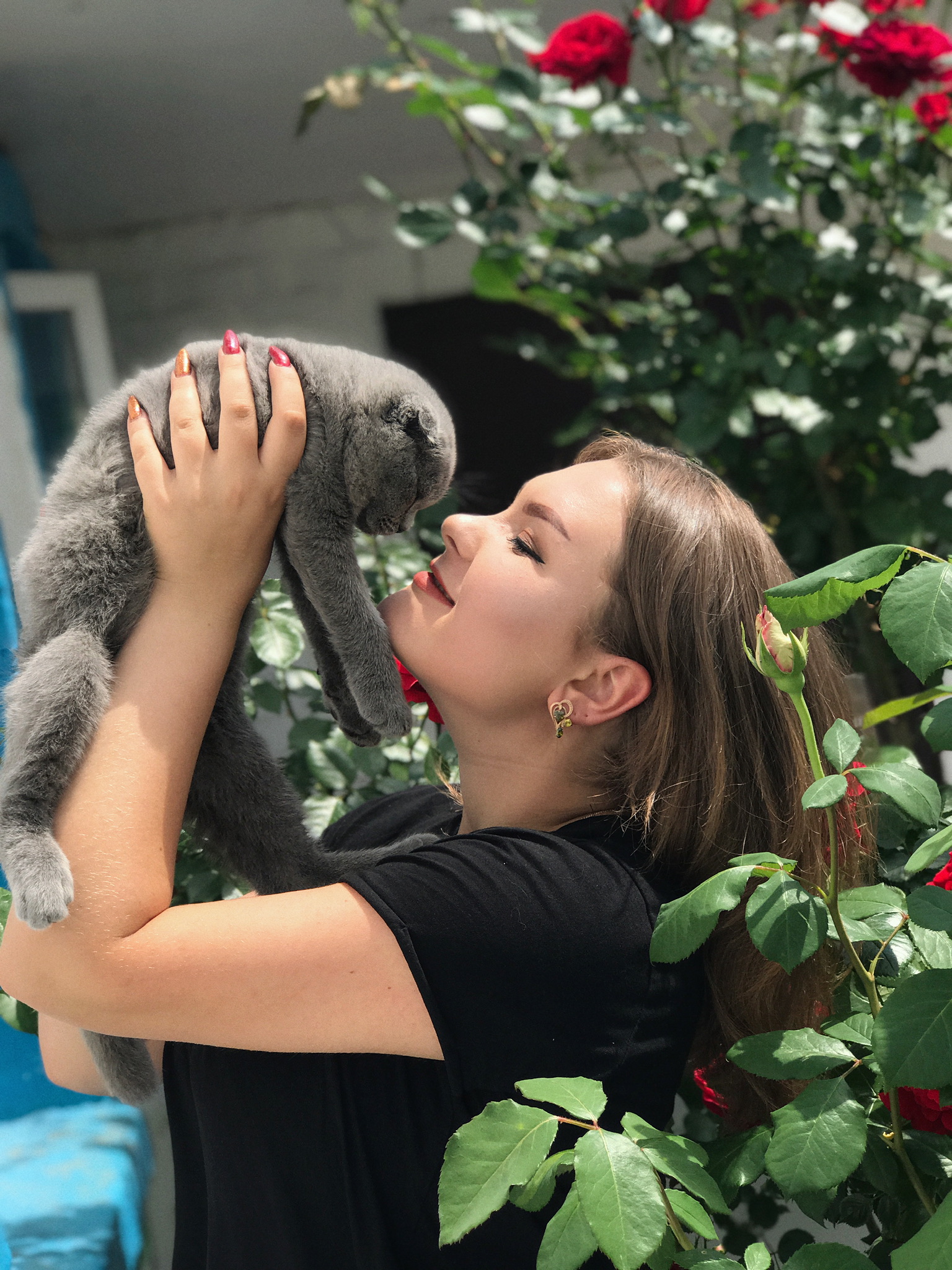 Фото Люблю котиков  3