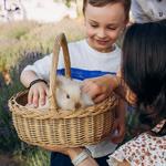 Сімейний фотограф Дніпро