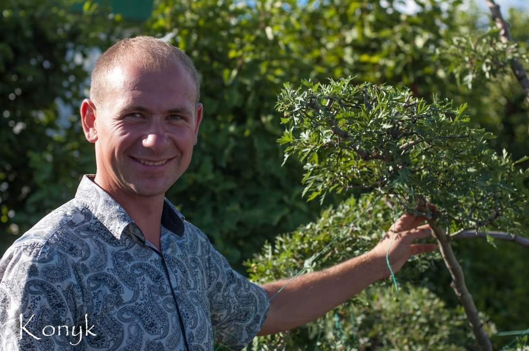 Фото Обрізка плодових  1