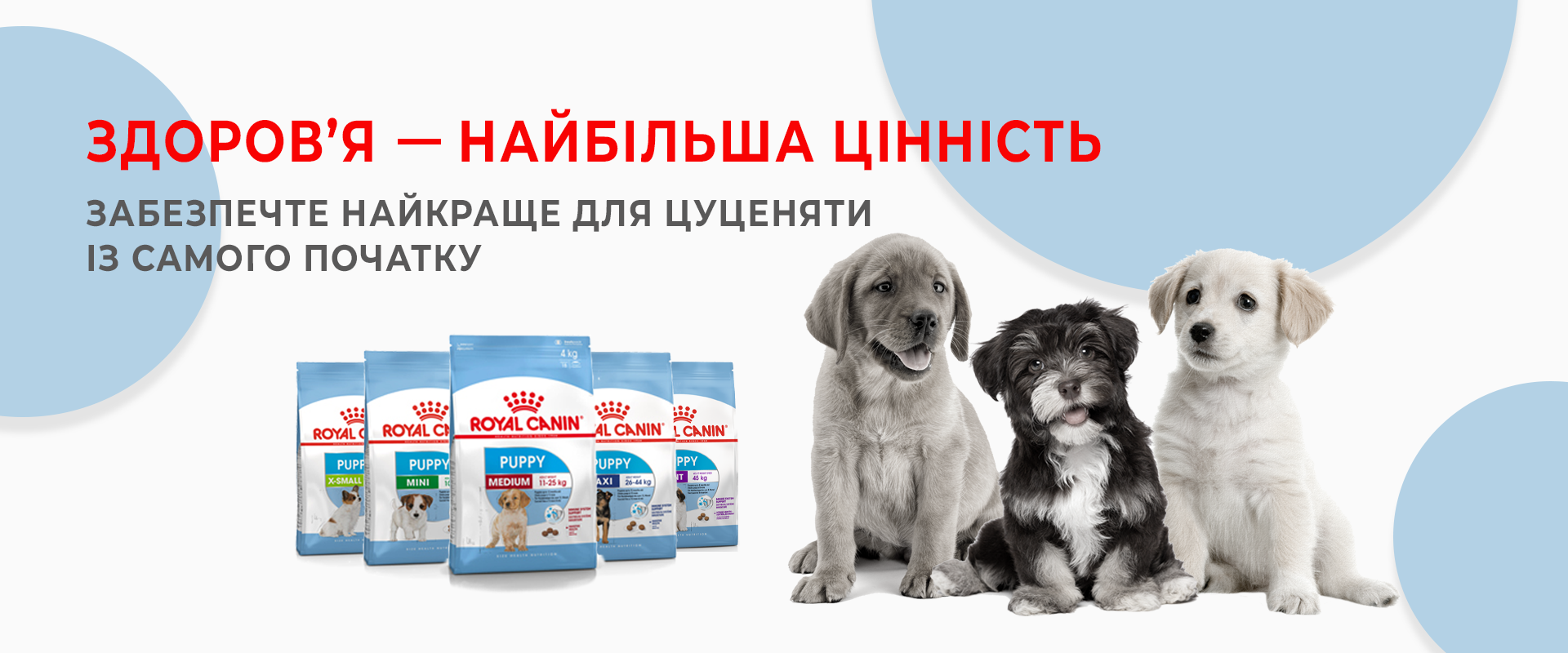 Фото Разработка баннера для KupiKorm