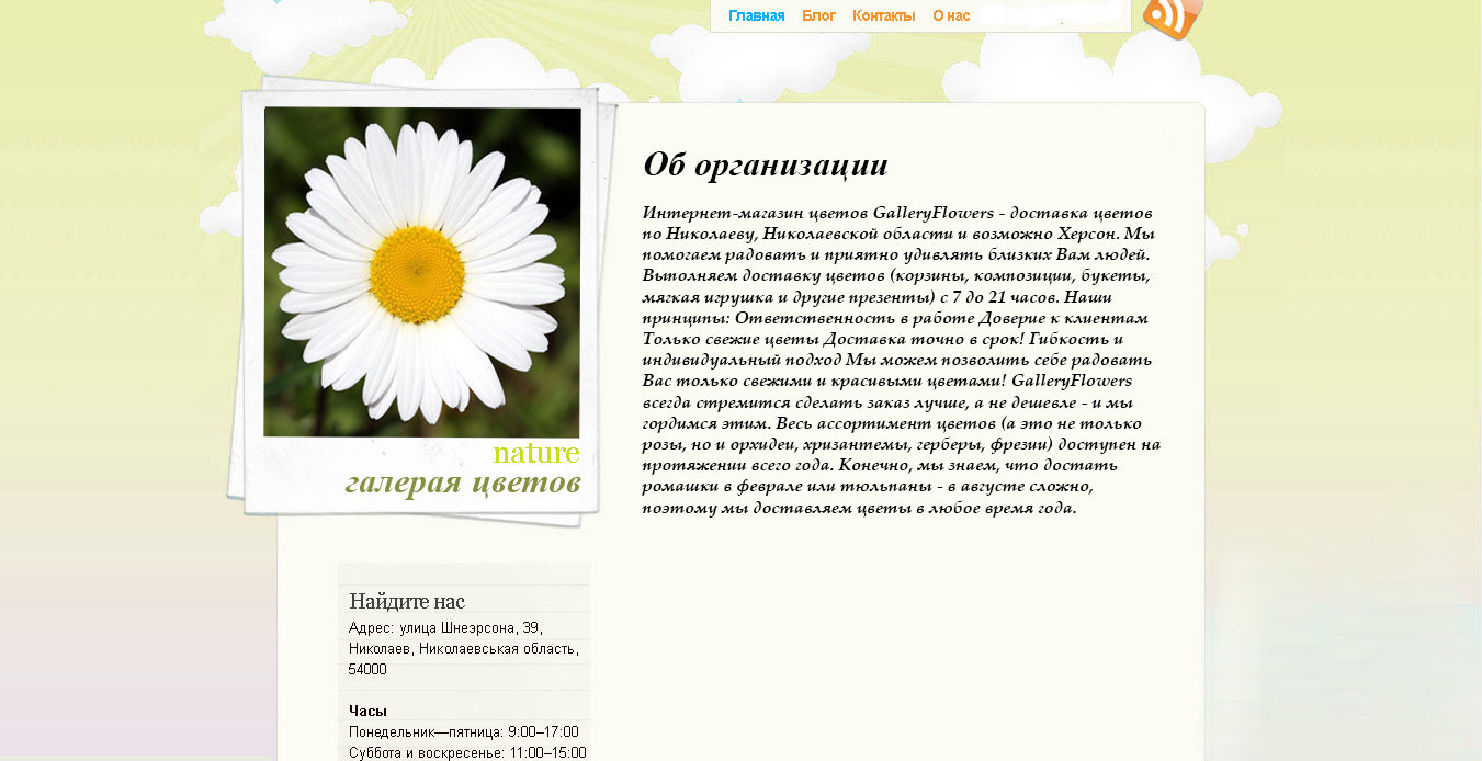 Фото Дизайн Wordpress