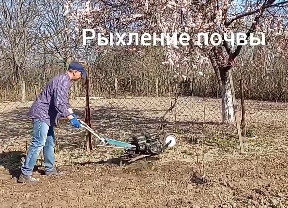 Фото Культивирую труднодоступные участки земли 1