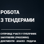 «Супровід участі у публічних закупівлях (Prozorro)», документи, аналіз, подача, консультація тощо
