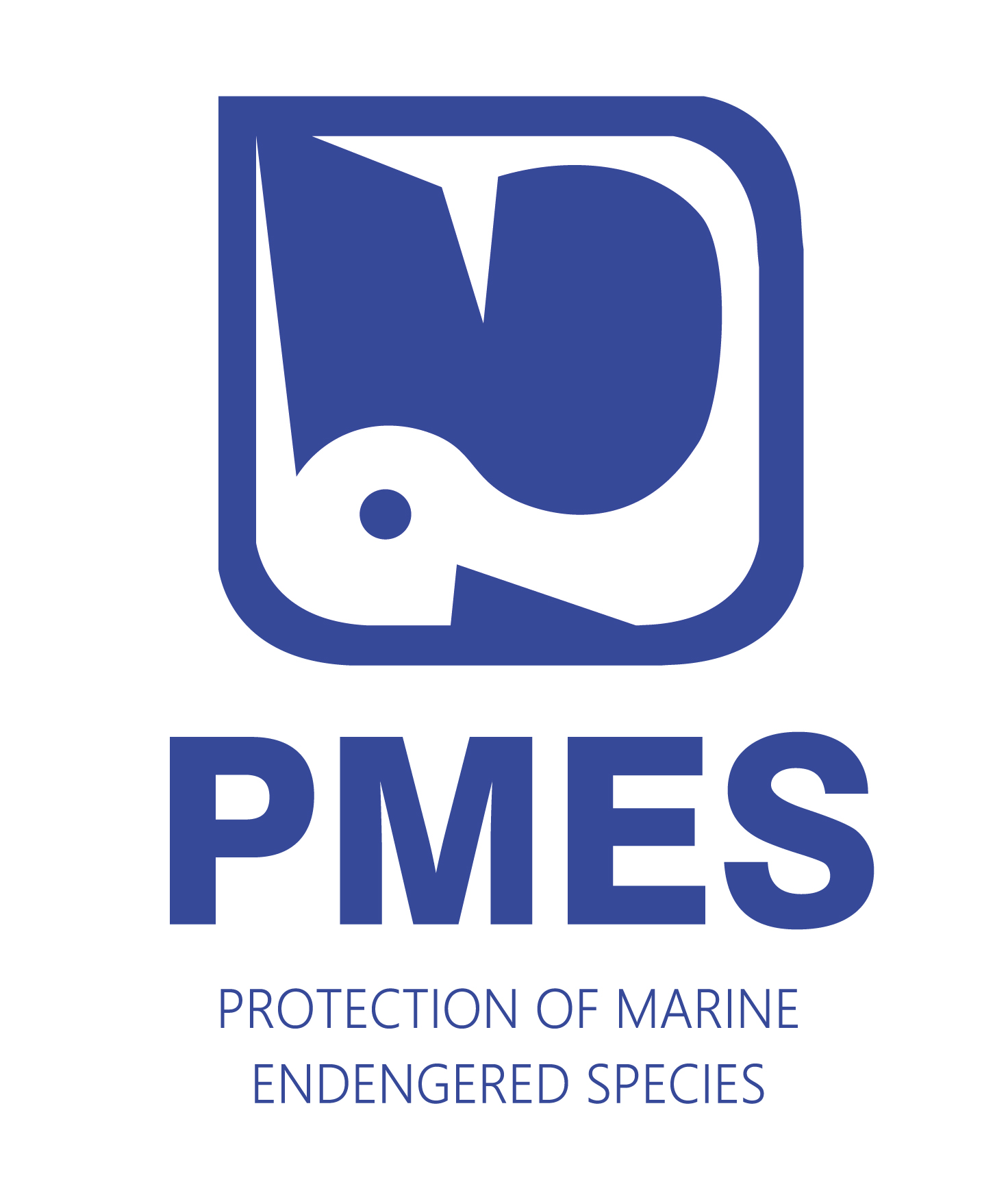 Фото Логотип компанії "PMES"