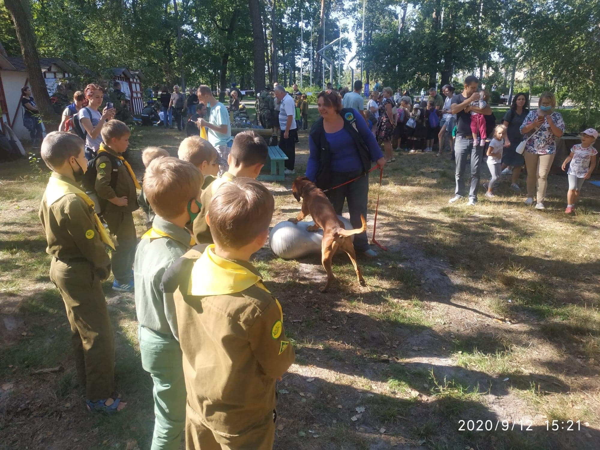Фото Дресируваня індивідуально та в групах  2