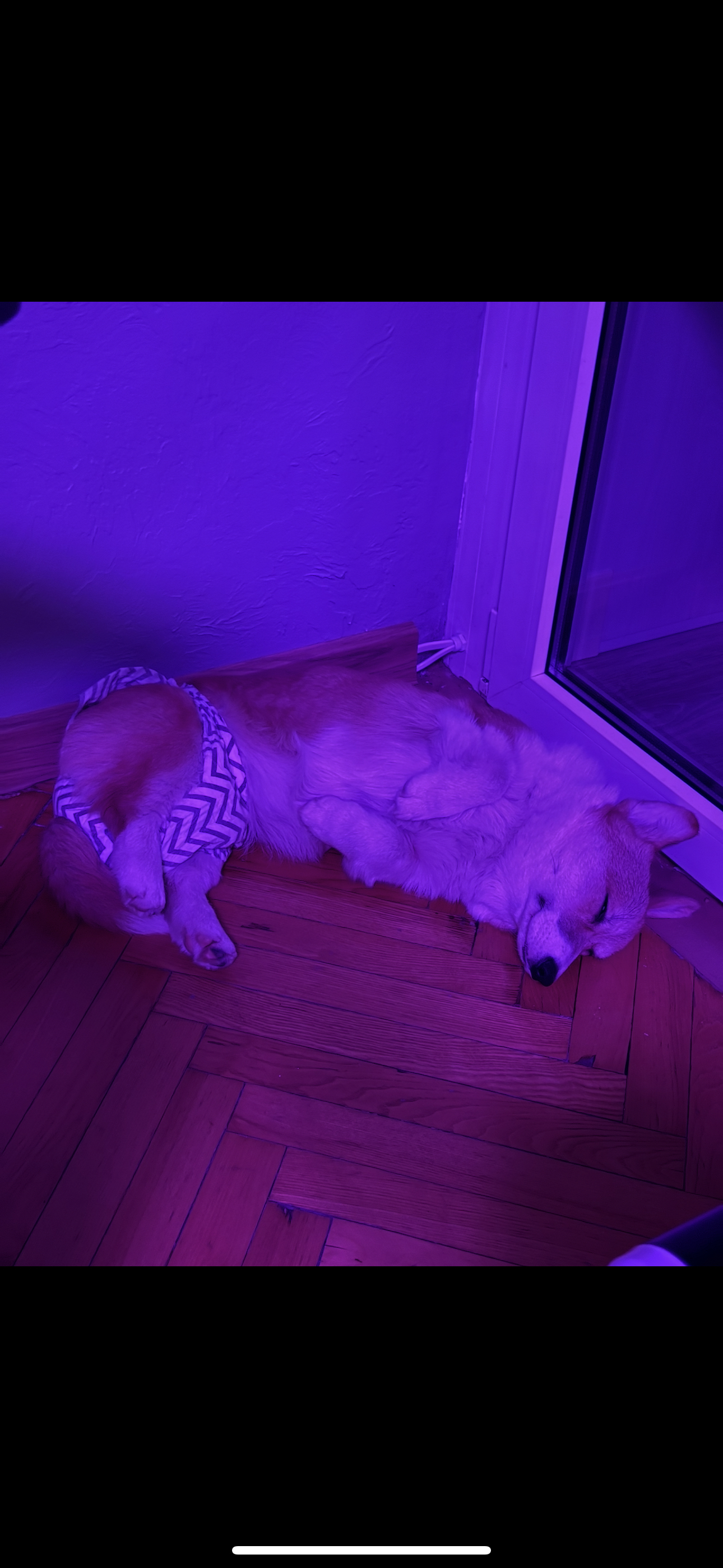 Фото сладкий сон 