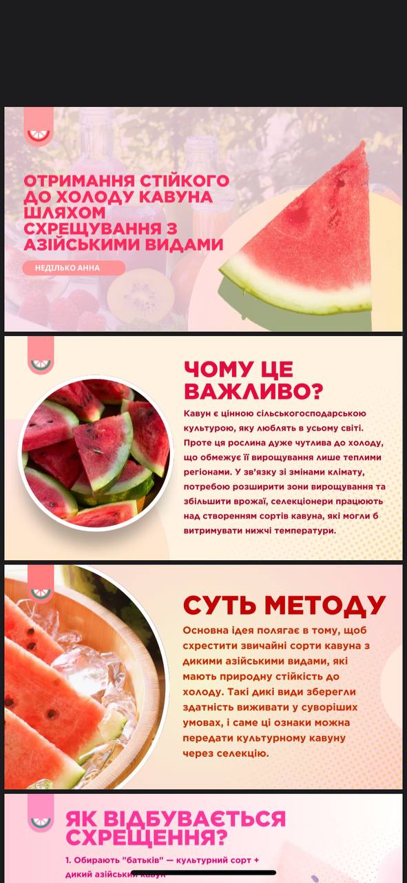Фото Презентація на тему "Отримання стійкого до холоду кавуна шляхом схрещування з азійськими видами" для шкільного уроку біології.
Оформлена у Canva. Має 7 слайдів: титульний, план, теоретичний матеріал, ілюстрації, висновки.
Оформлення лаконічне й зрозуміле, адаптоване для учнів середніх класів.
Можу створити подібні презентації на інші теми — швидко та якісно.