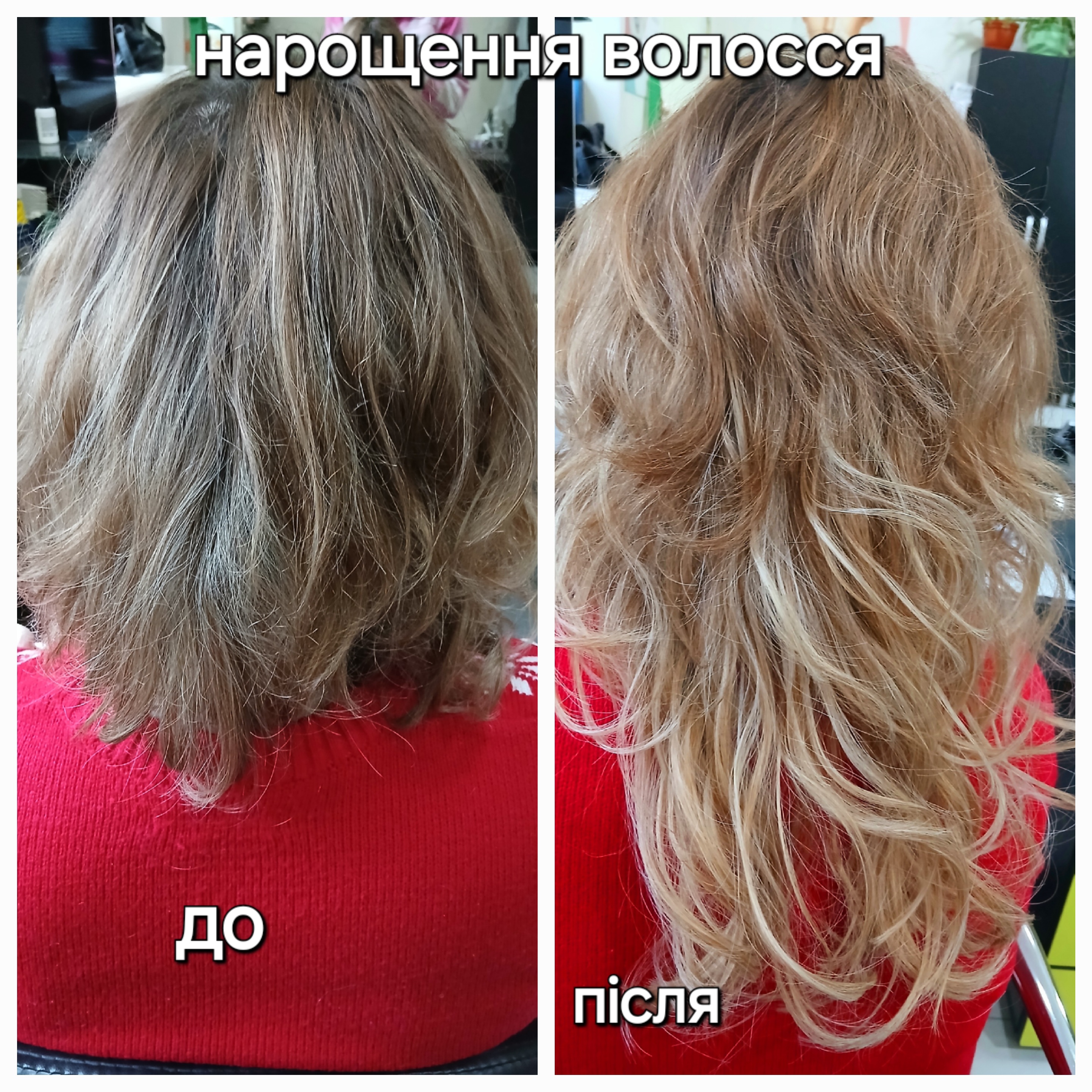 Фото Біопротеінове волосся  1
