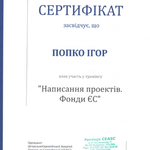 Пишу гранты в фонды ЕС и проекты под тендеры, программы