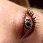 💎 Твои брови и ресницы — моя забота! 💎