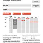 Англійська для дорослих. Рівні Beginner - Intermediate