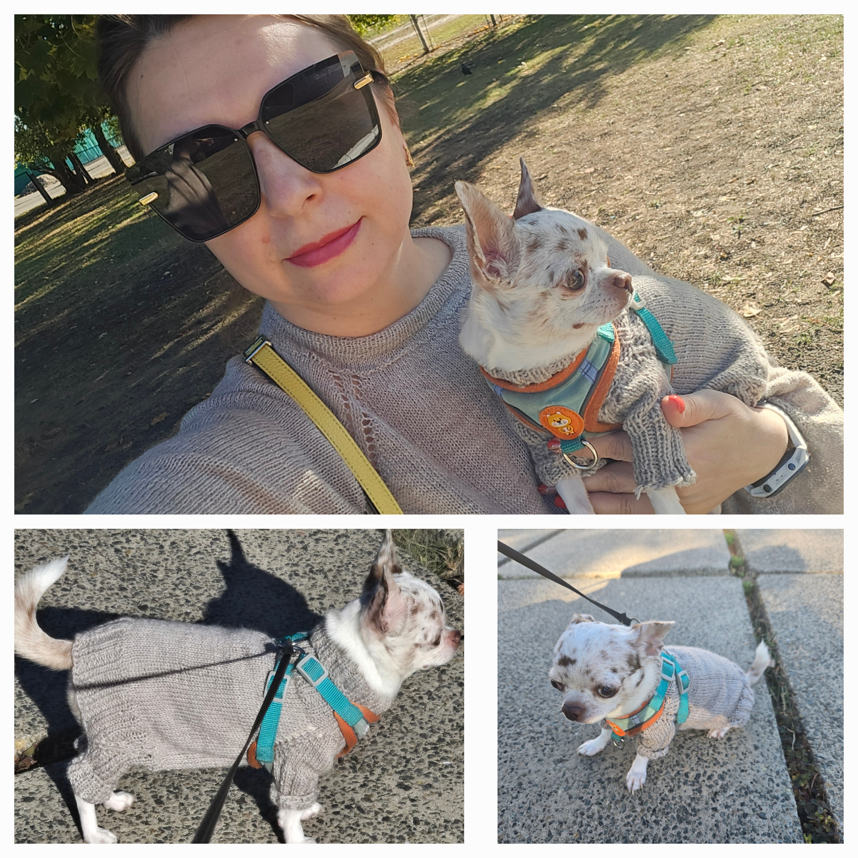 Фото Вязаный свитер для хозяйки и собачки🐕🐕🐕🐕