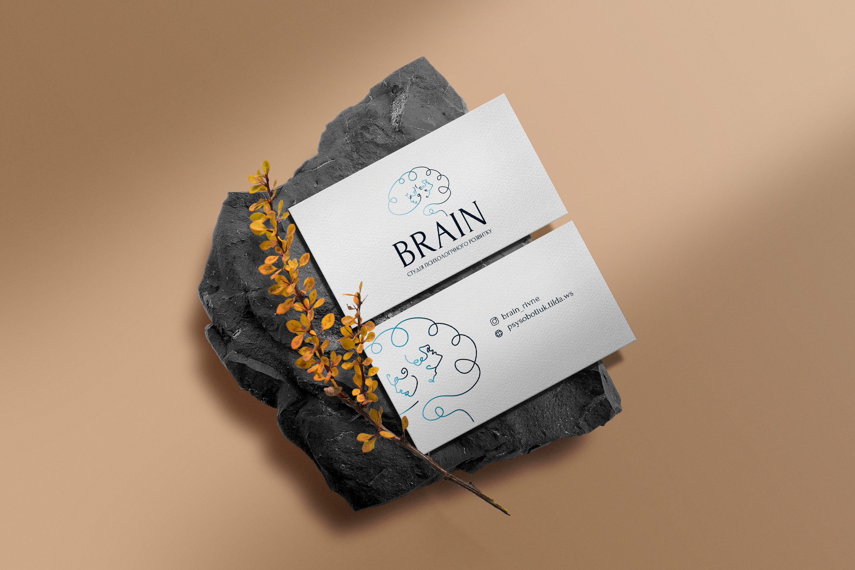 Фото Задача: зробити редизайн логотипу студії психології BRAIN (місто Рівне). А також розробити дизайн візитівок та стікерів для студії. 
Виконала роботу за 8 годин.