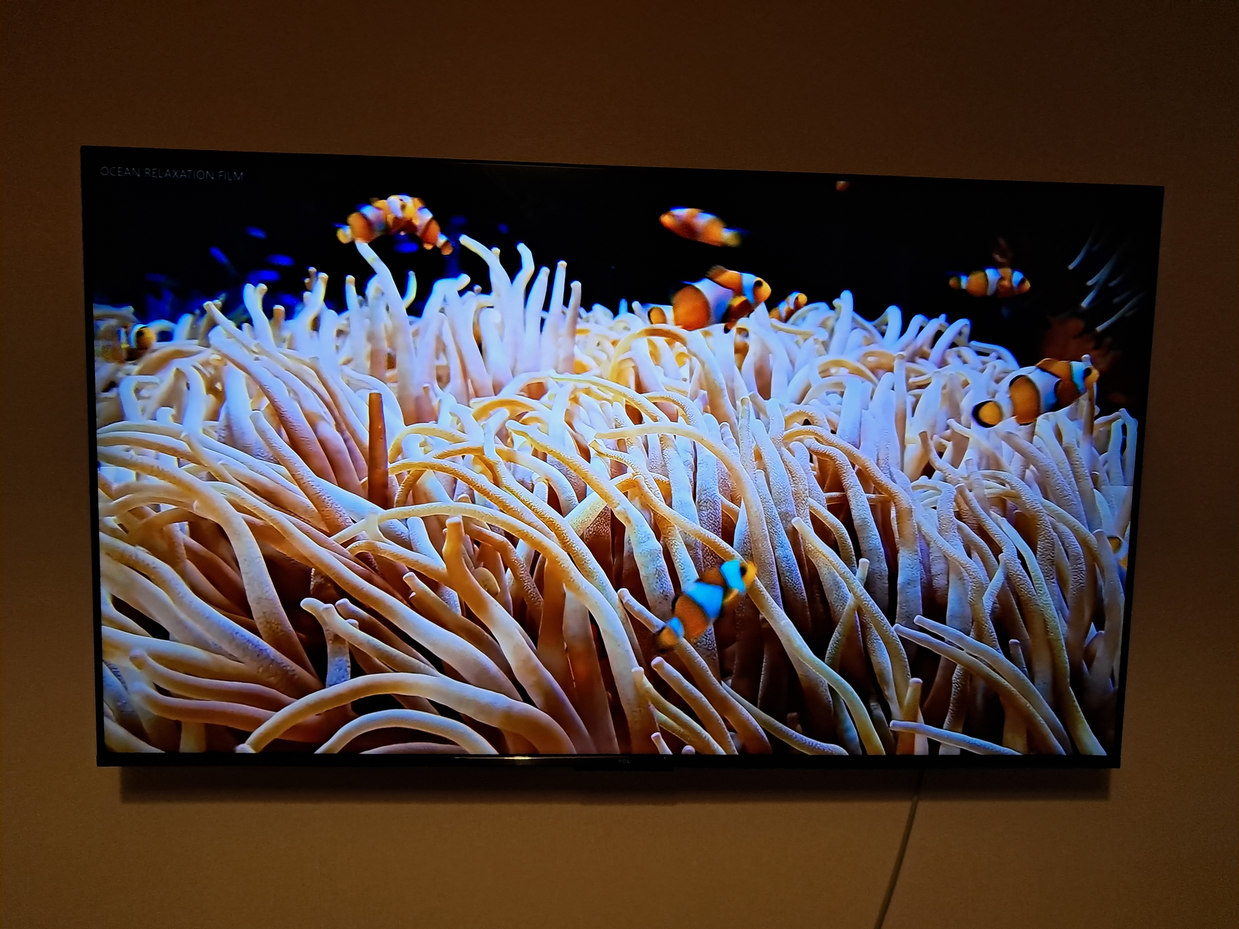 Фото Монтаж телевізора