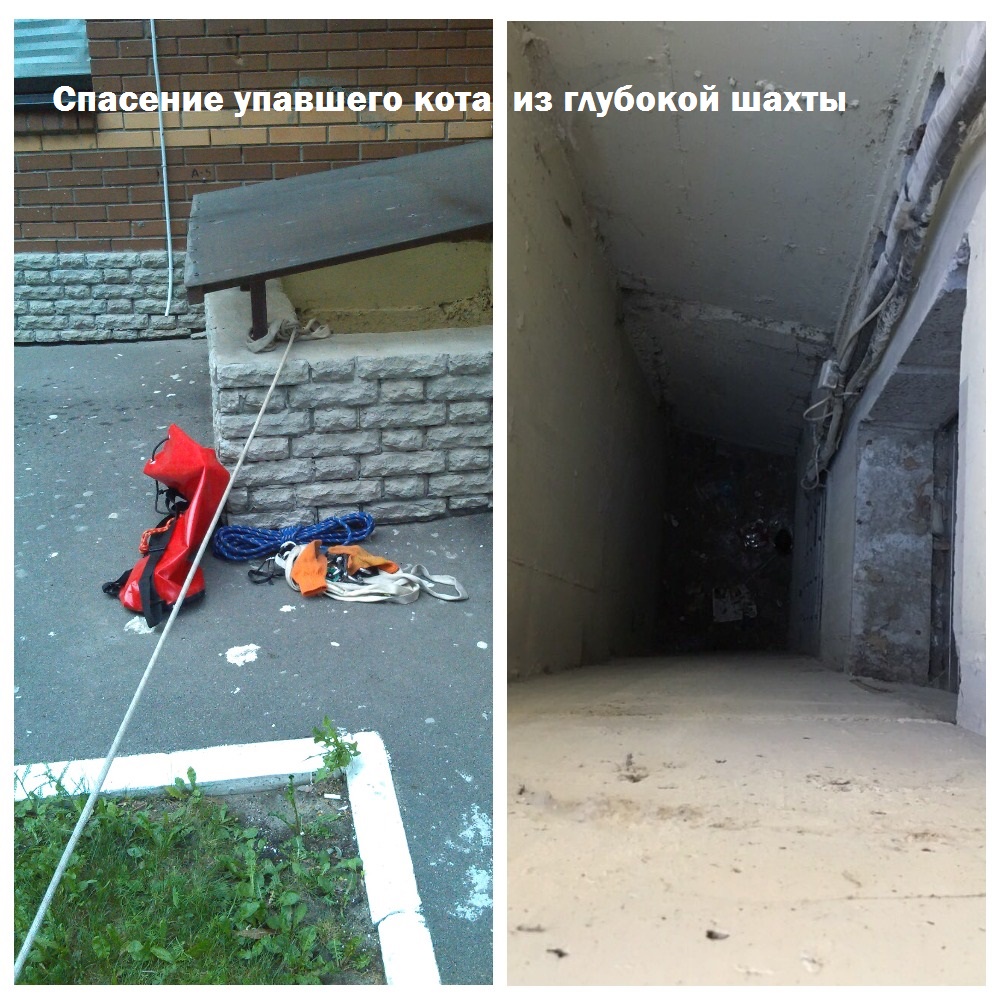 Фото Спасение упавшего животного из глубокой шахты