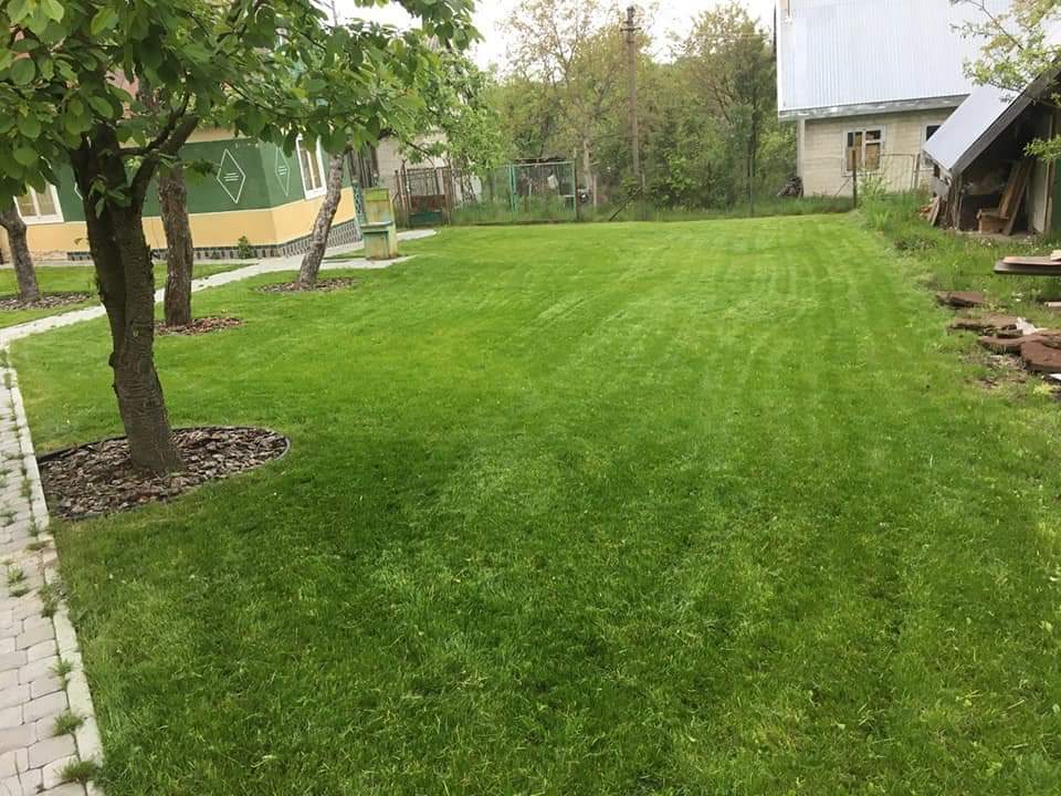 Фото укладка газону