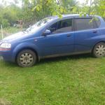 ПЕРЕВЕЗУ ВАШЕГО ПИТОМЦА