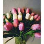 Класні та сучасні обробки фото!!!