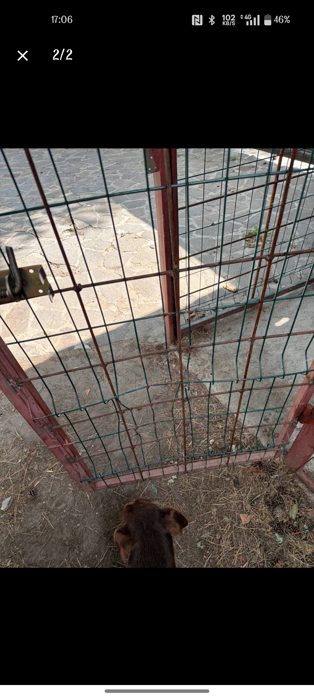Фото Собаки розірвали та погнули решітку вольєра. Потрібно було вирізати пошкоджену частину, відрихтувати та підсилити стіни.
