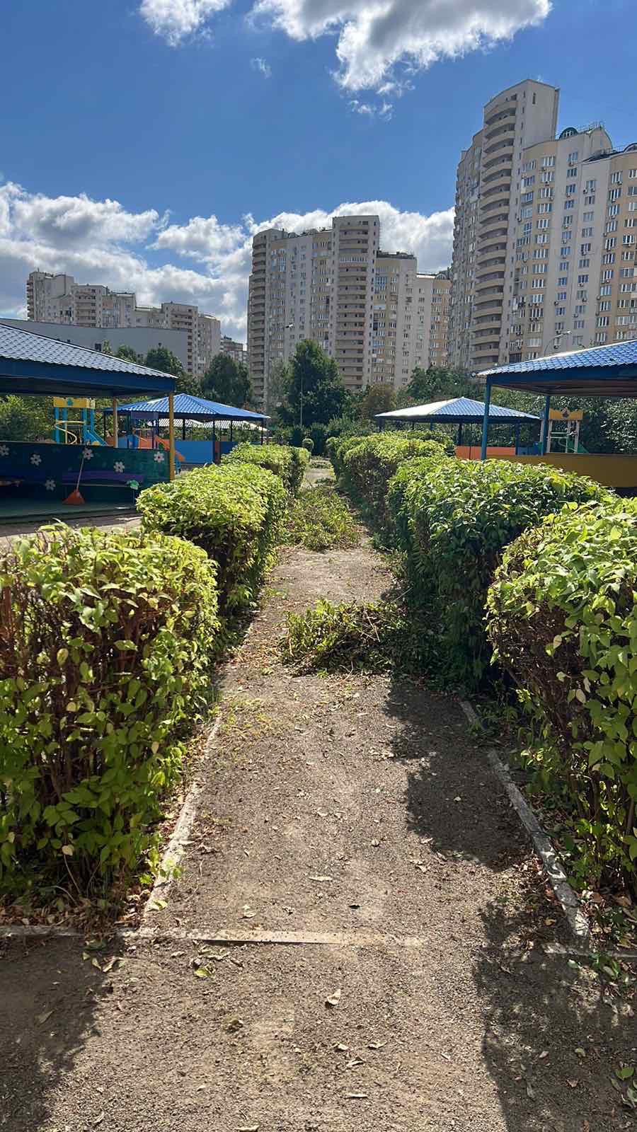 Фото Стрижка кущів, газону, обробка рослин, внесення добрив 