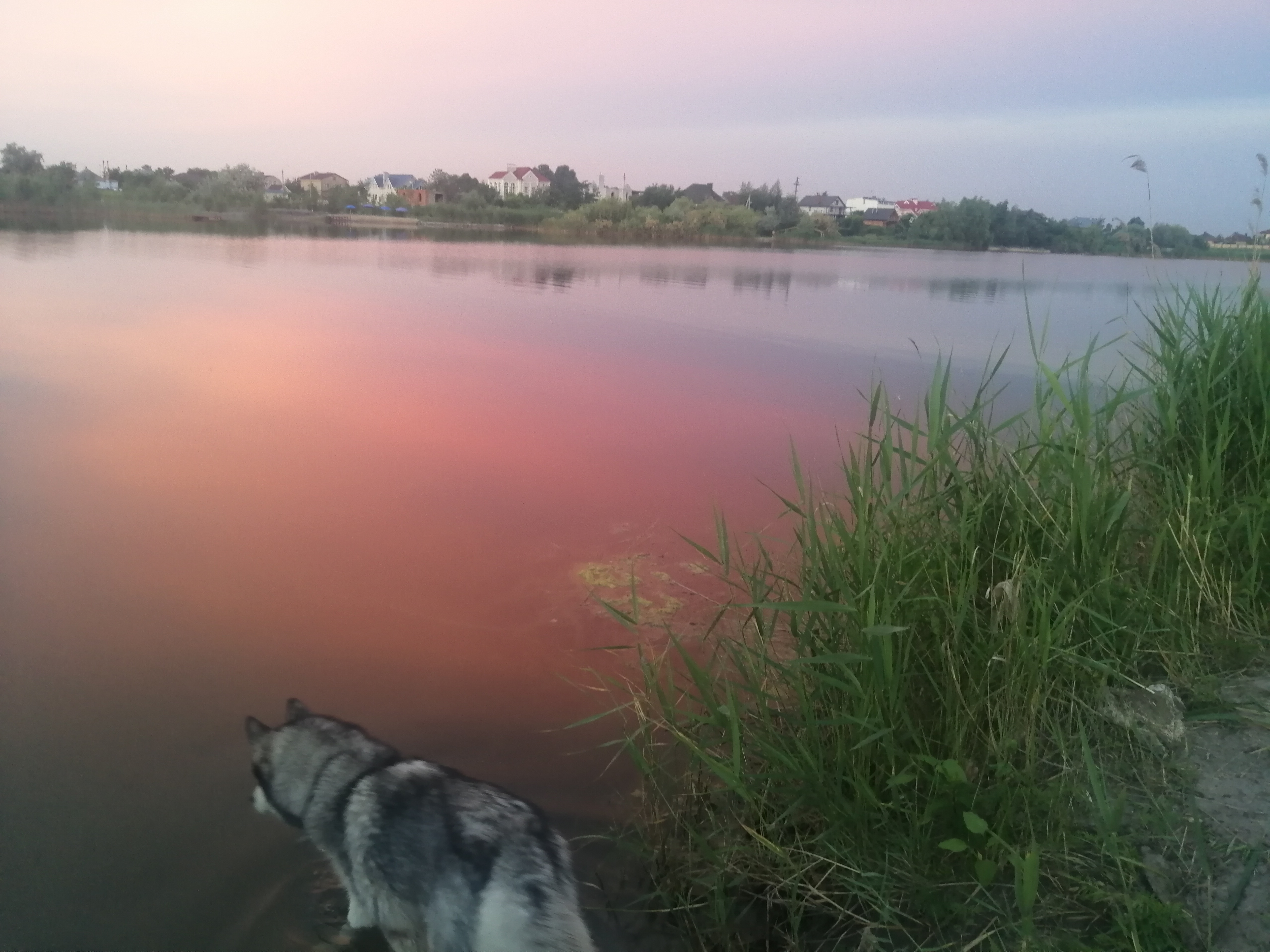 Фото Пляж 