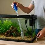 Догляд за вашим акваріумом та рибками 🐠💧