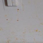 Прибираємо квартири після ремонту,генеральне прибирання а також миття вікон. 