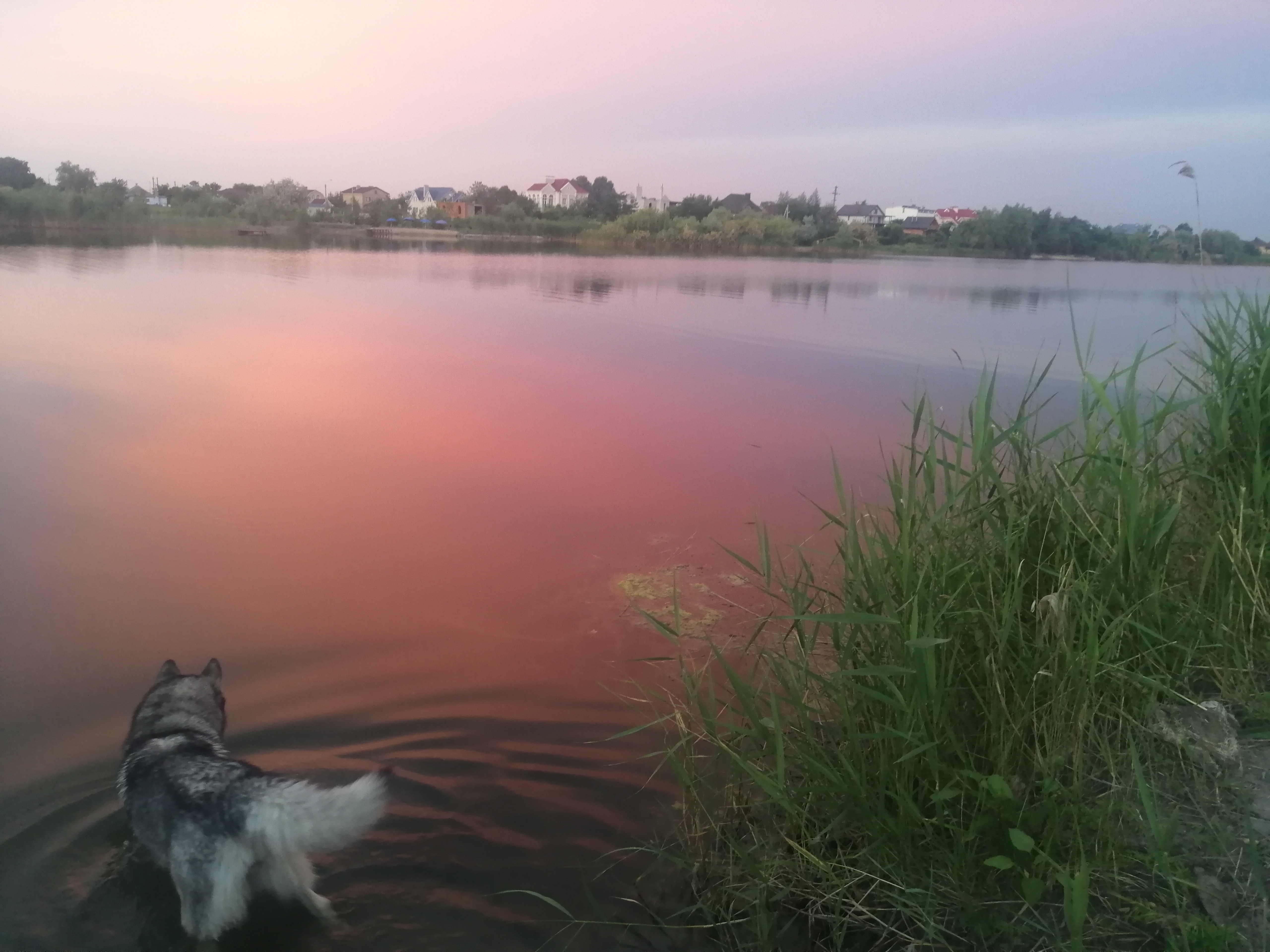 Фото Пляж 
