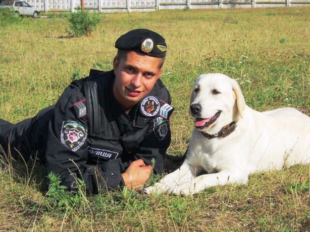Фото Дрессировка собак 1