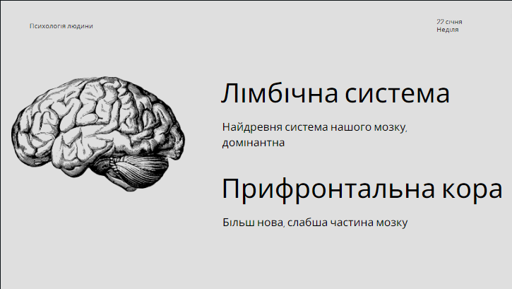 Фото Презентація з психології, виконана за півтори години