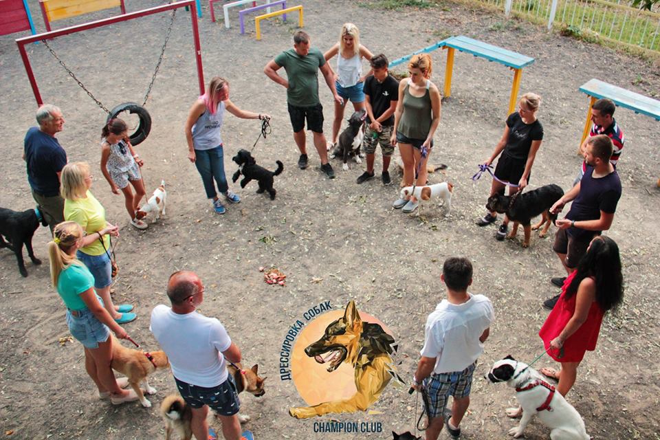 Фото Дрессировка собак Одесса и область 4