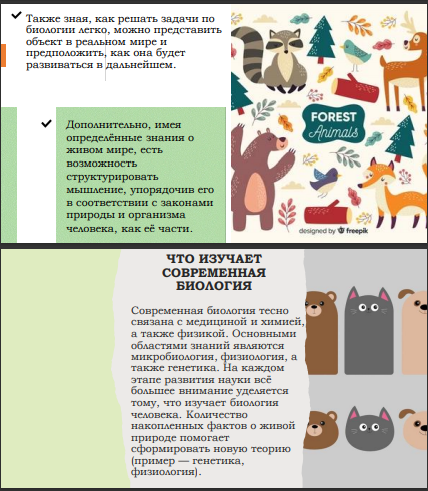 Фото Создание презентации на русском языке, данная презентация создана за 4,5 часа.
