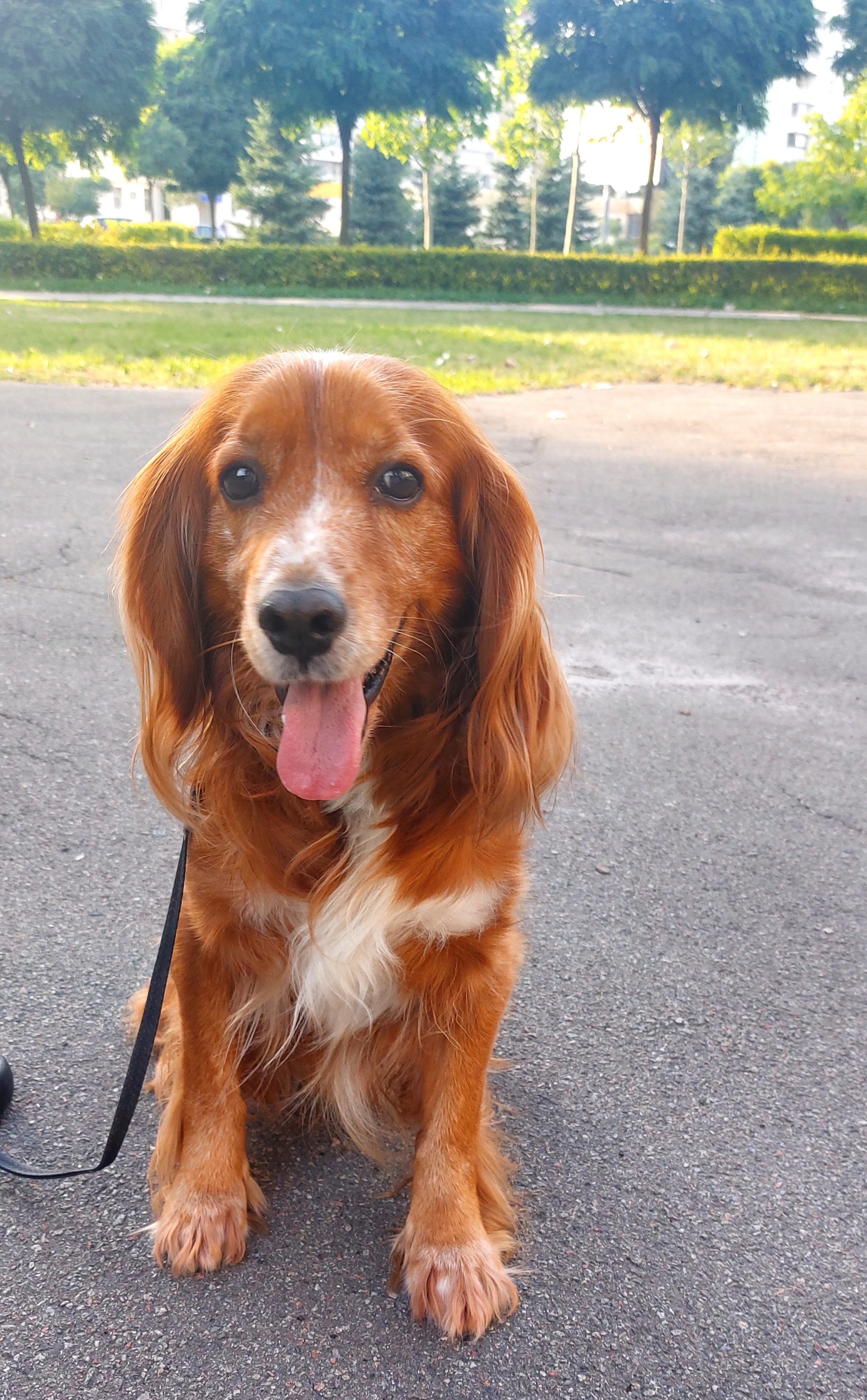 Фото Джек, перетримка