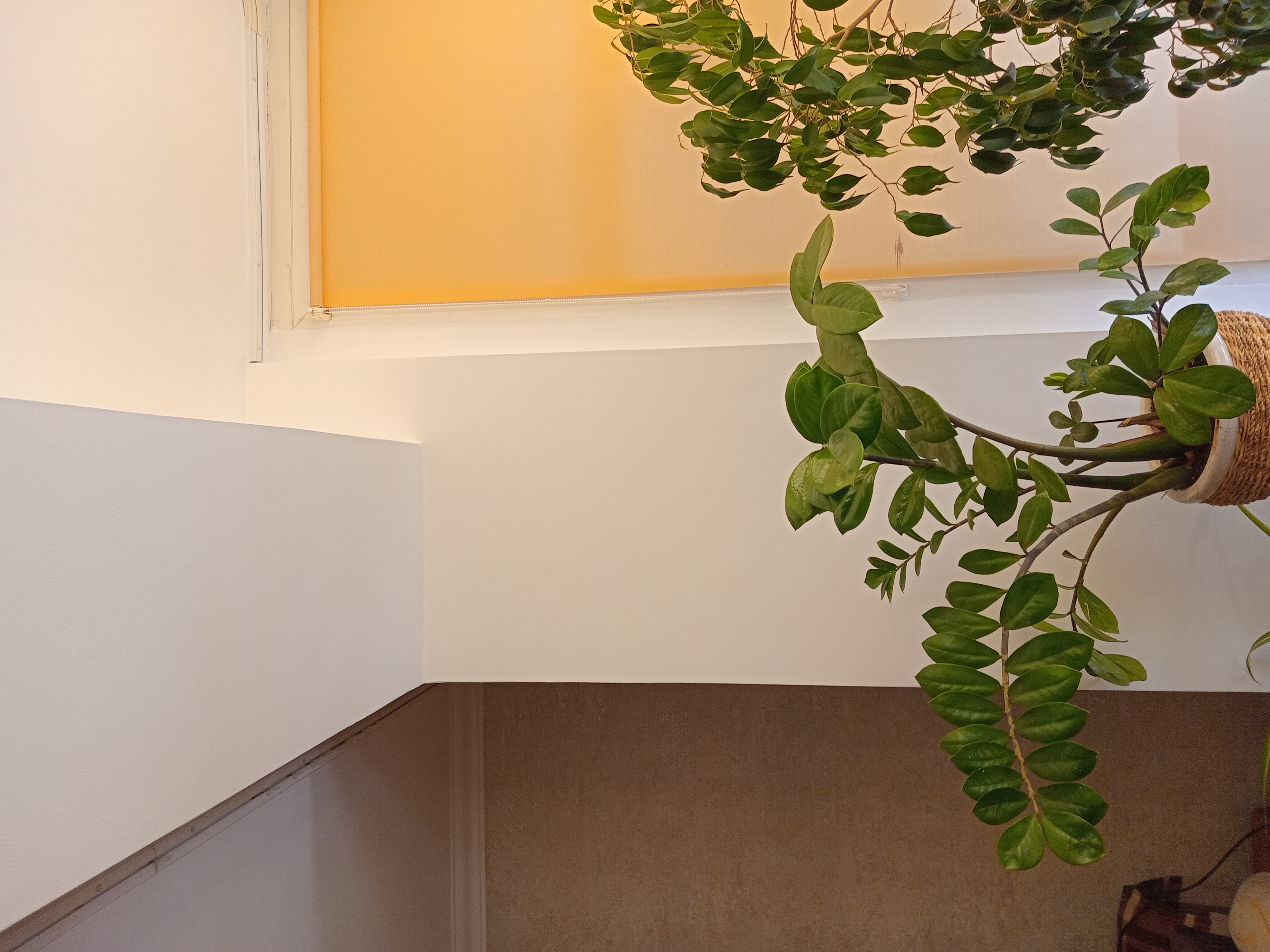 Фото Вiдкос