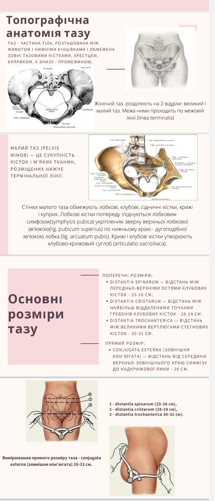 Фото Создание презентации на 36 слайдов 