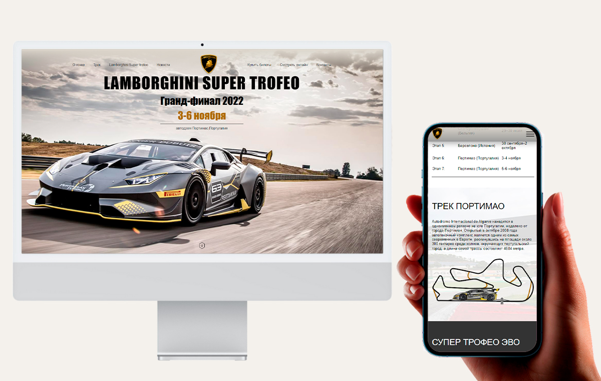 Фото #javascrip #html #ccs #LandingРage Інформація про майбутні перегони та інформація про заїзд.