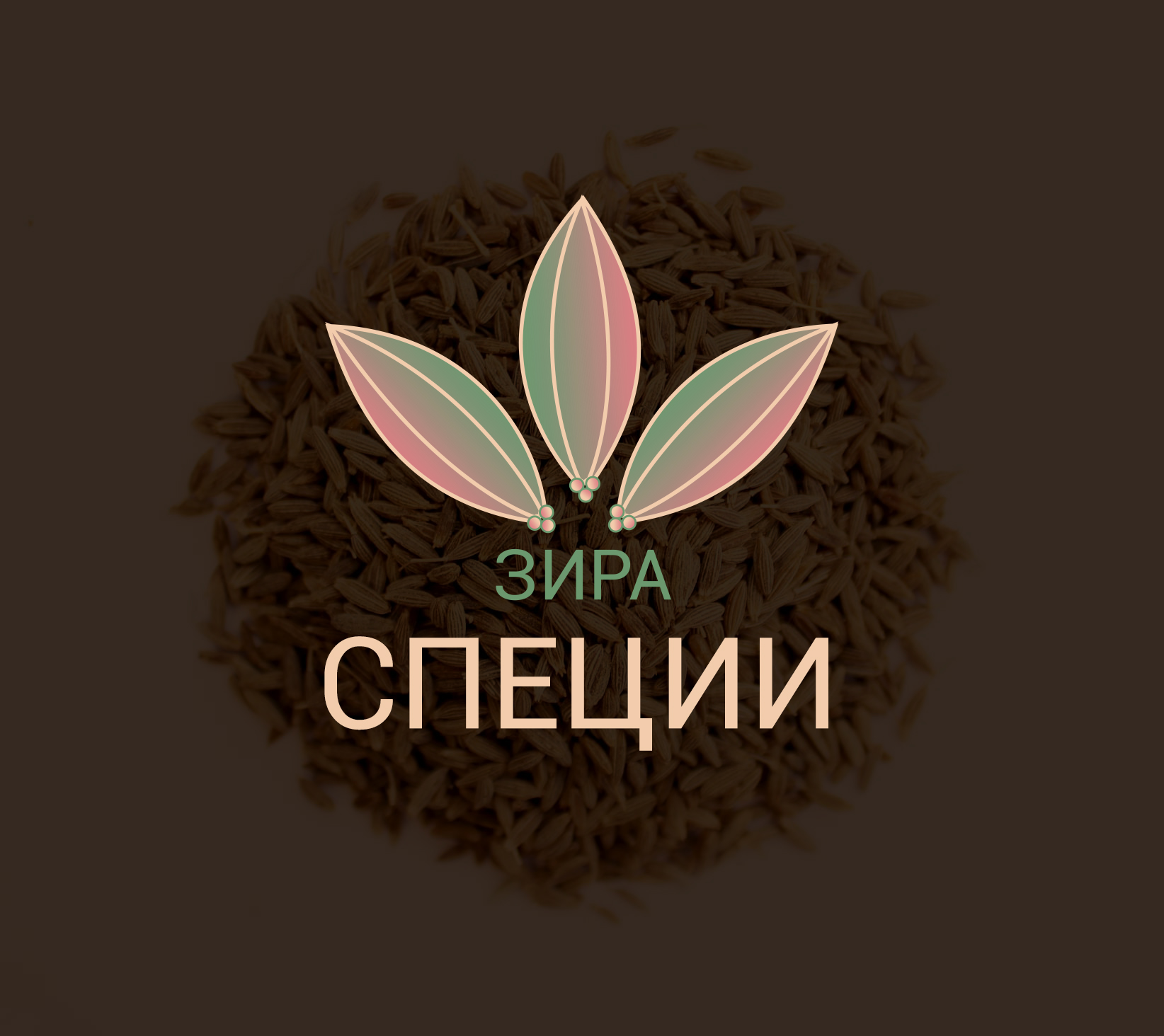 Фото Разработка логотипа для вашего бизнеса 4