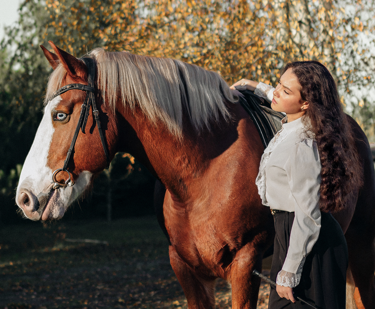 Фото Кінна фотосесія