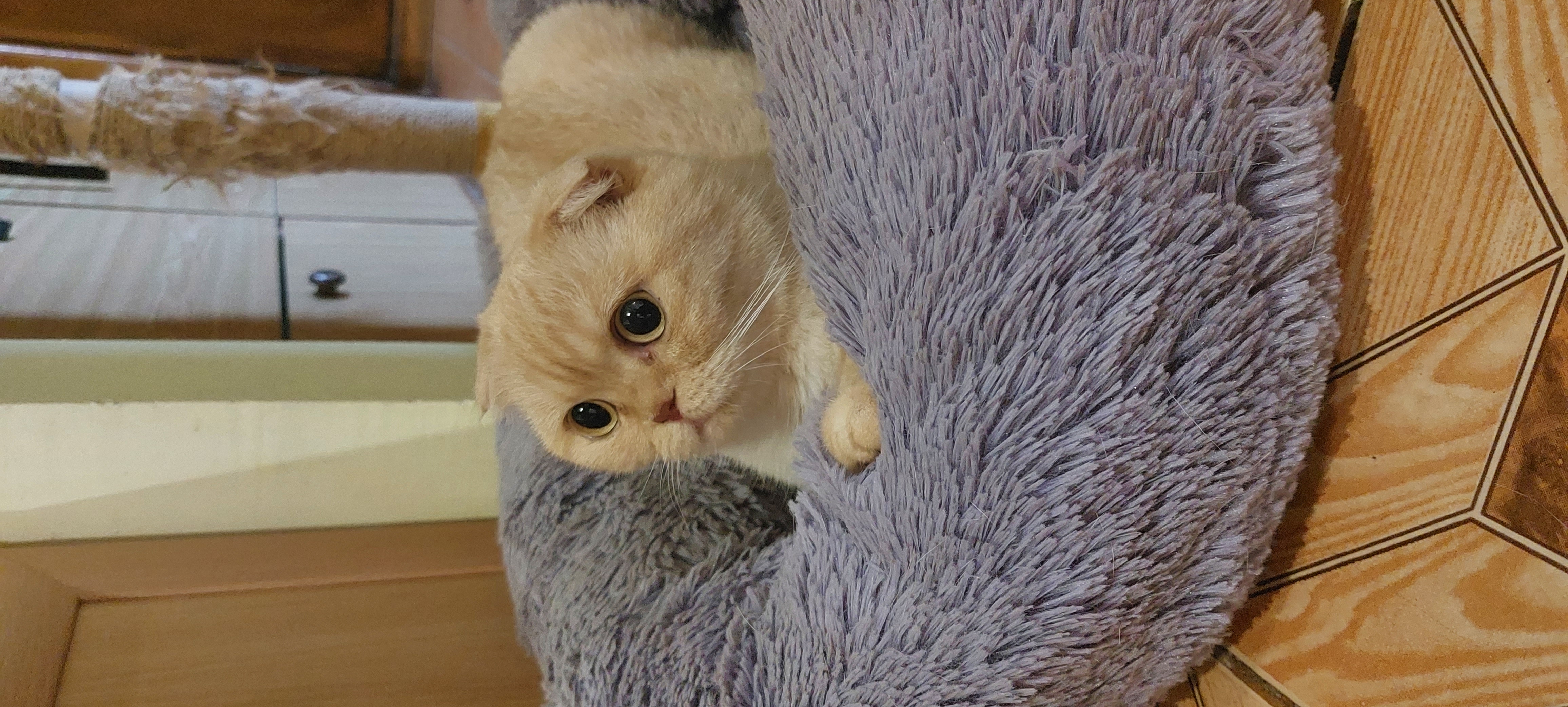 Фото Красуня Кенді☺️